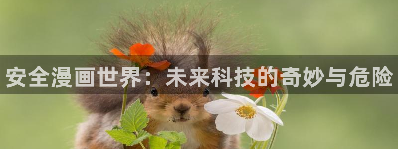哔咔漫画3.0app下载